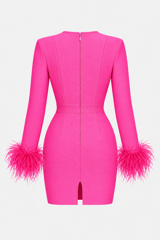 Asperie Pembe Mini Elbise — arkadan görünüm